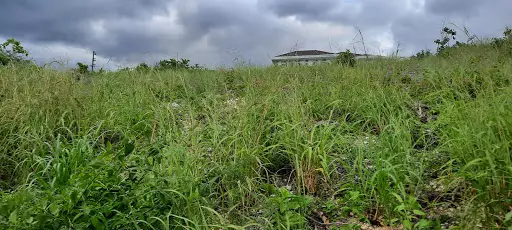Mountain View Lot in Alta Vista - photo 2