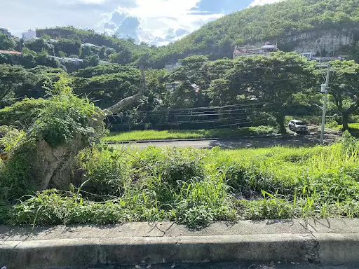 Subdivision Lot in Aspen Heights — Residential Lot in Consolacion, Cebu, Philippines — Photo 3