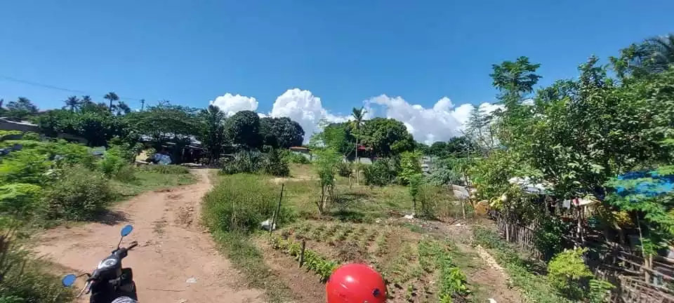 Lot for Sale - photo 3