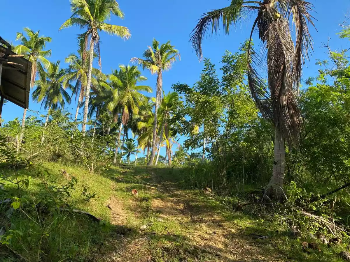 Open photo 27 of 27 — Over Looking LOT FOR SALE along Brgy Road Bayanga, Cagayan de Oro City