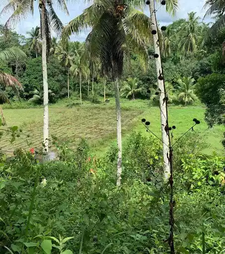 Panabo agri lot — Agricultural Lot in Davao del Norte, Philippines — Photo 3