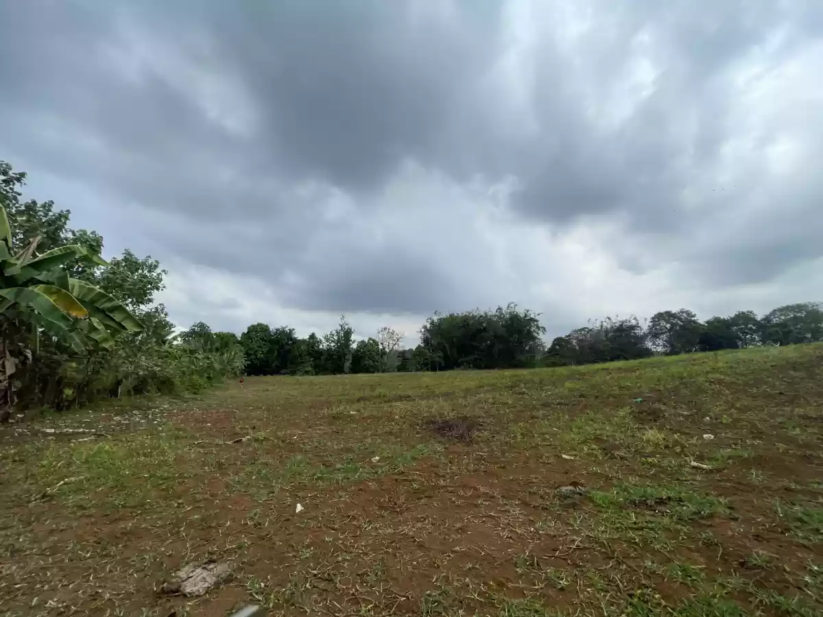 3.8 HA agricultural lot for sale at Baungon Bukidnon 