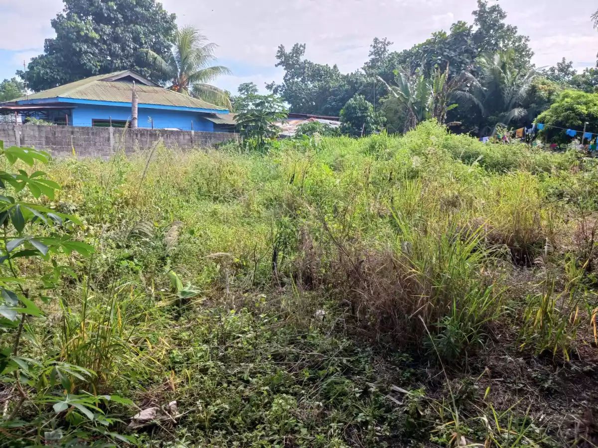 Affordable Lot in Polomolok - photo 3
