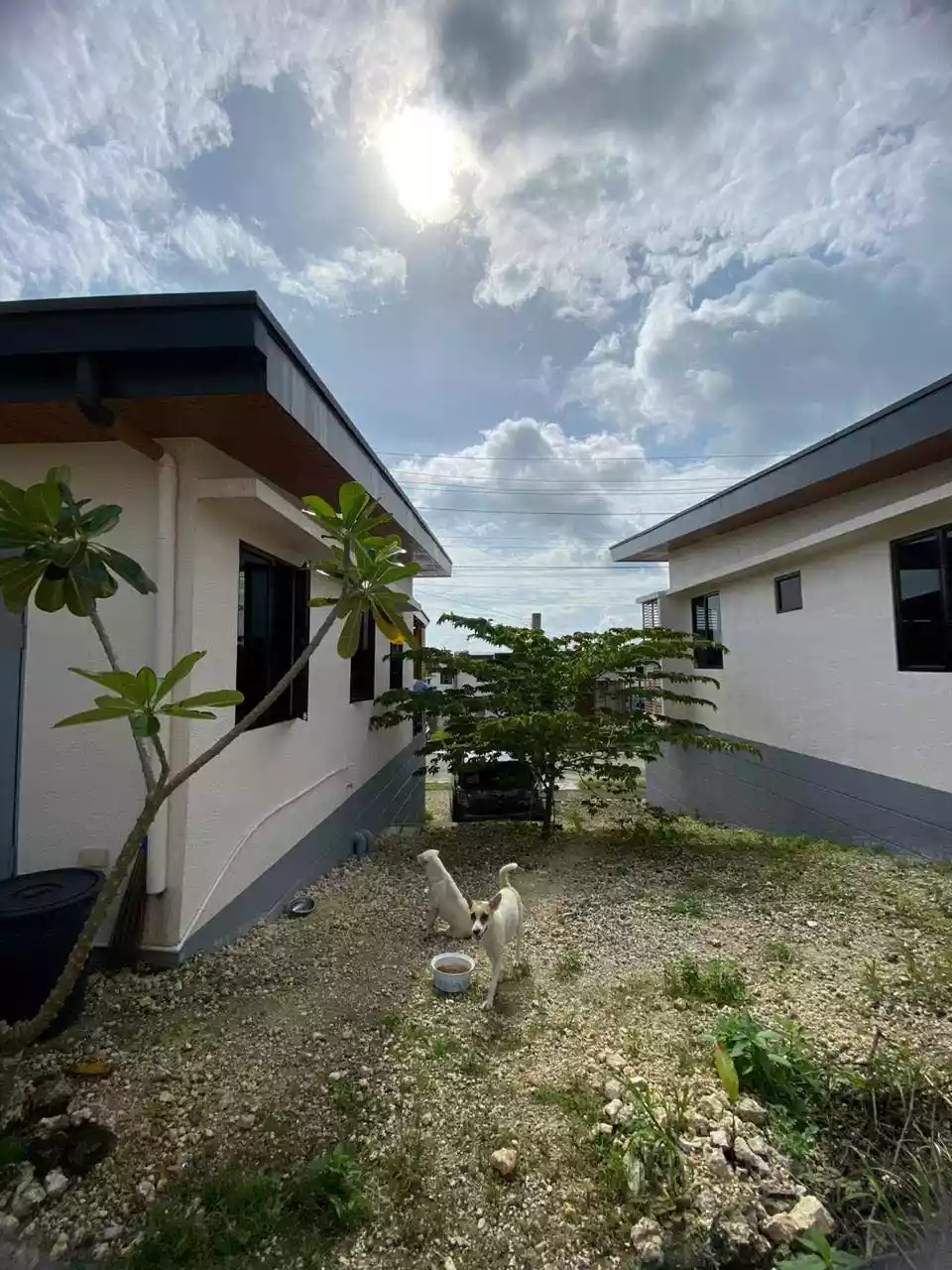 Aruna Bungalow House — House and Lot in Compostela, Cebu, Philippines — Photo 6