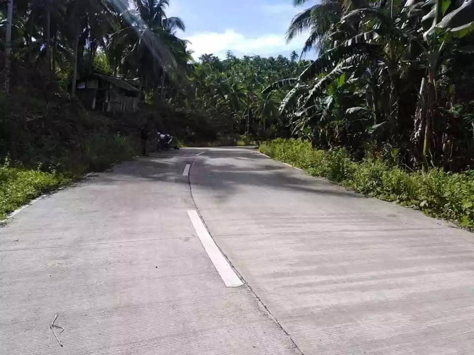 Beach Lot For Sale in Sta. Monica, Siargao Islands - photo 3