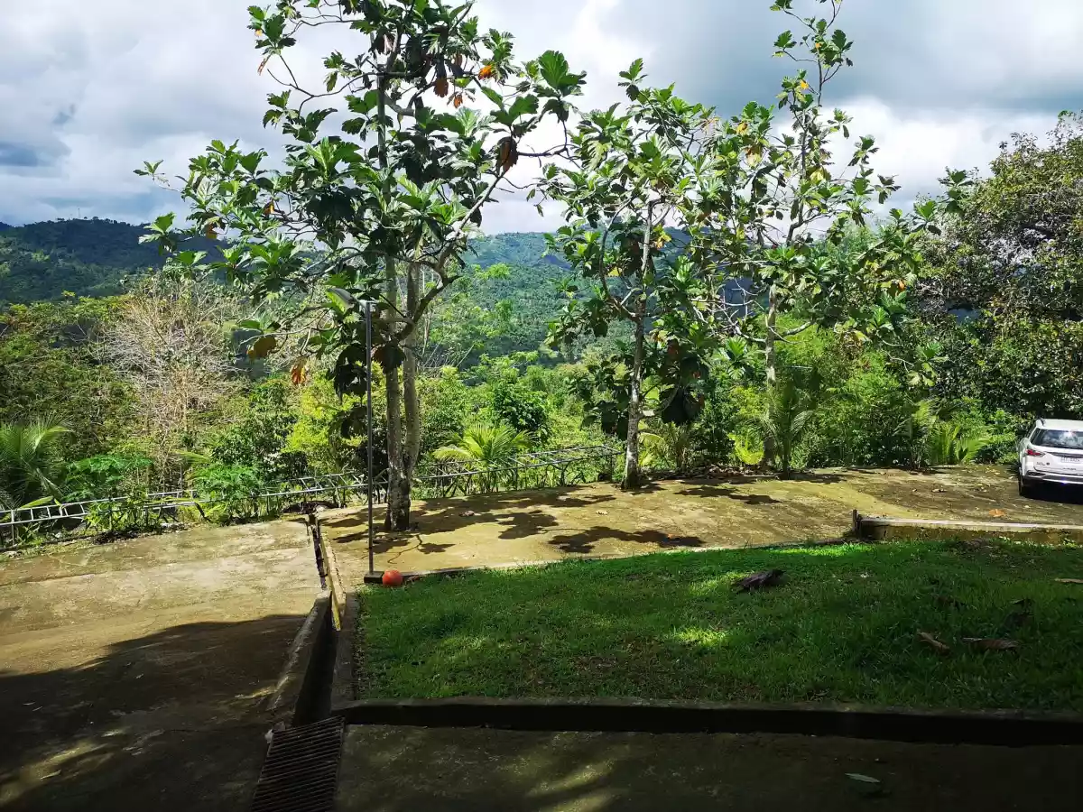 Paril Farm for SALE Cebu City  - Titled Property - photo 3