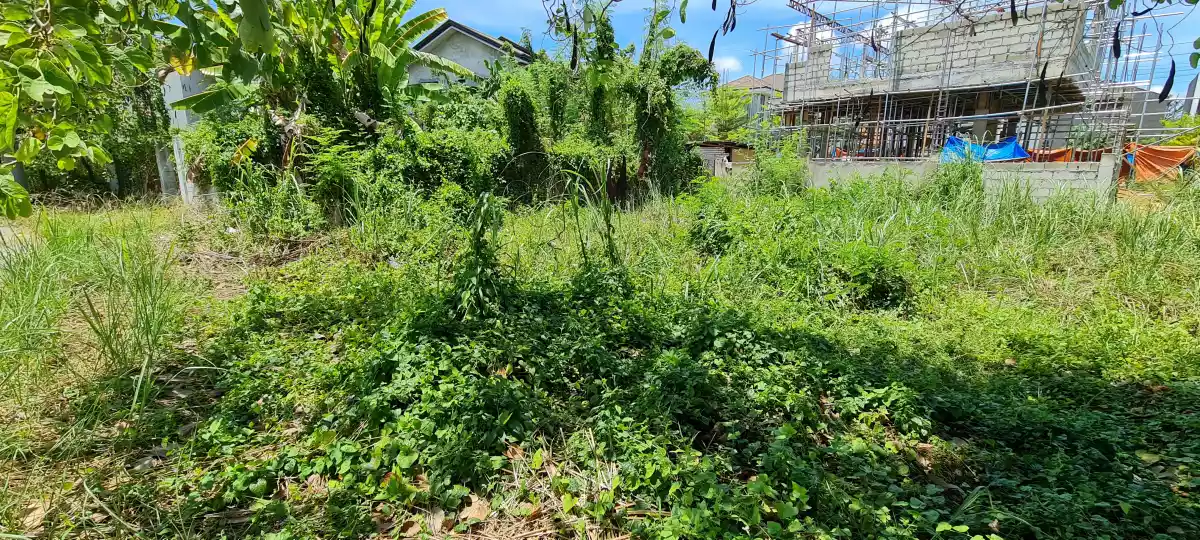 RARE FIND LOT ONLY FOR SALE INSIDE MACTAN TROPICS SUBDIVISION! — Residential Lot in Lapu-Lapu City, Cebu, Philippines — Photo 4