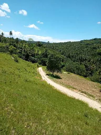 Open photo 14 of 27 — Very rush sale farm lot