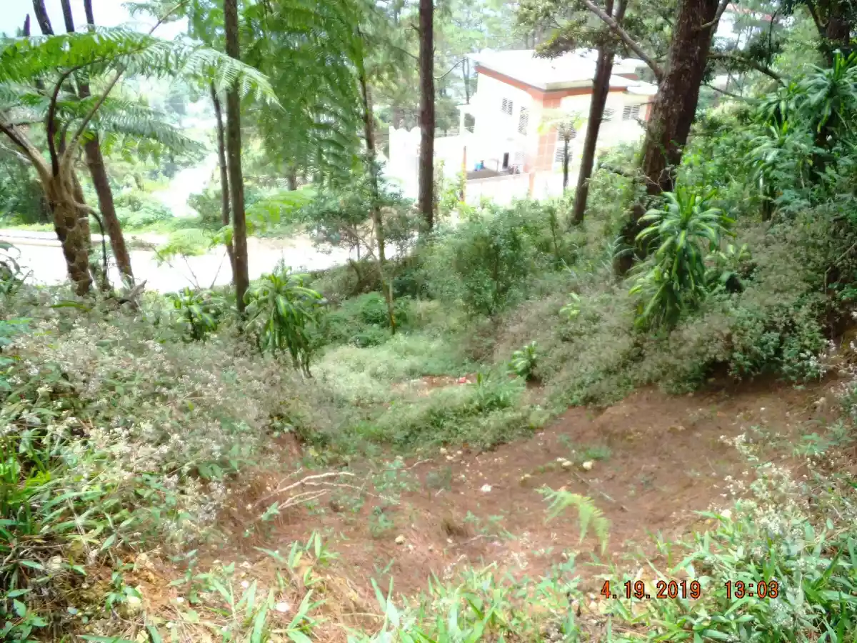 Overlooking Subd. Lot located at La Chesa rd., Tadiangan, Tuba, Benguet. — Residential Lot in Benguet, Philippines — Photo 6