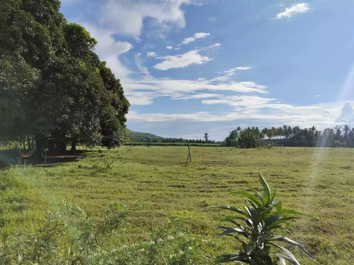 Open photo 13 of 13 — Lot for Sale in Tuburan, Cebu