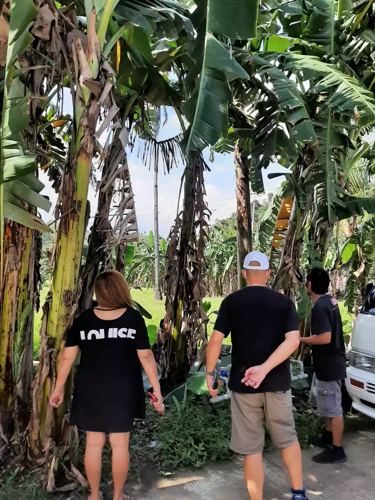 Open photo 19 of 20 — Lot For Sale!!