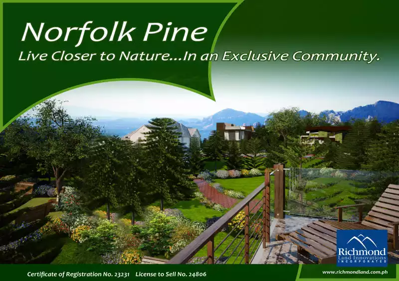 Corner Lot at Norfolk Pine Subdivision in General Santos - photo 5