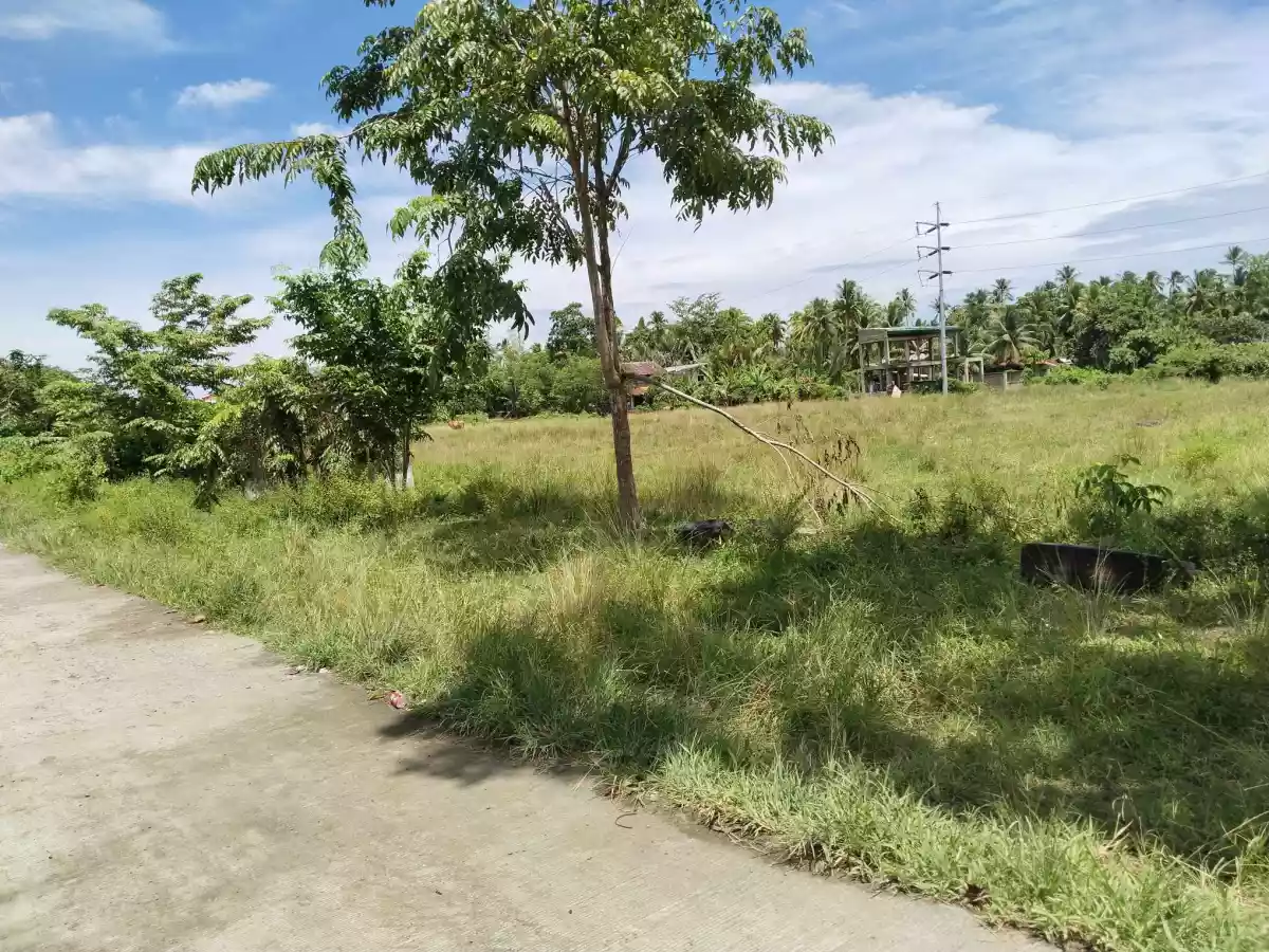 LOT FOR SALE — Commercial Lot in Dipolog City, Zamboanga del Norte, Philippines — Photo 6