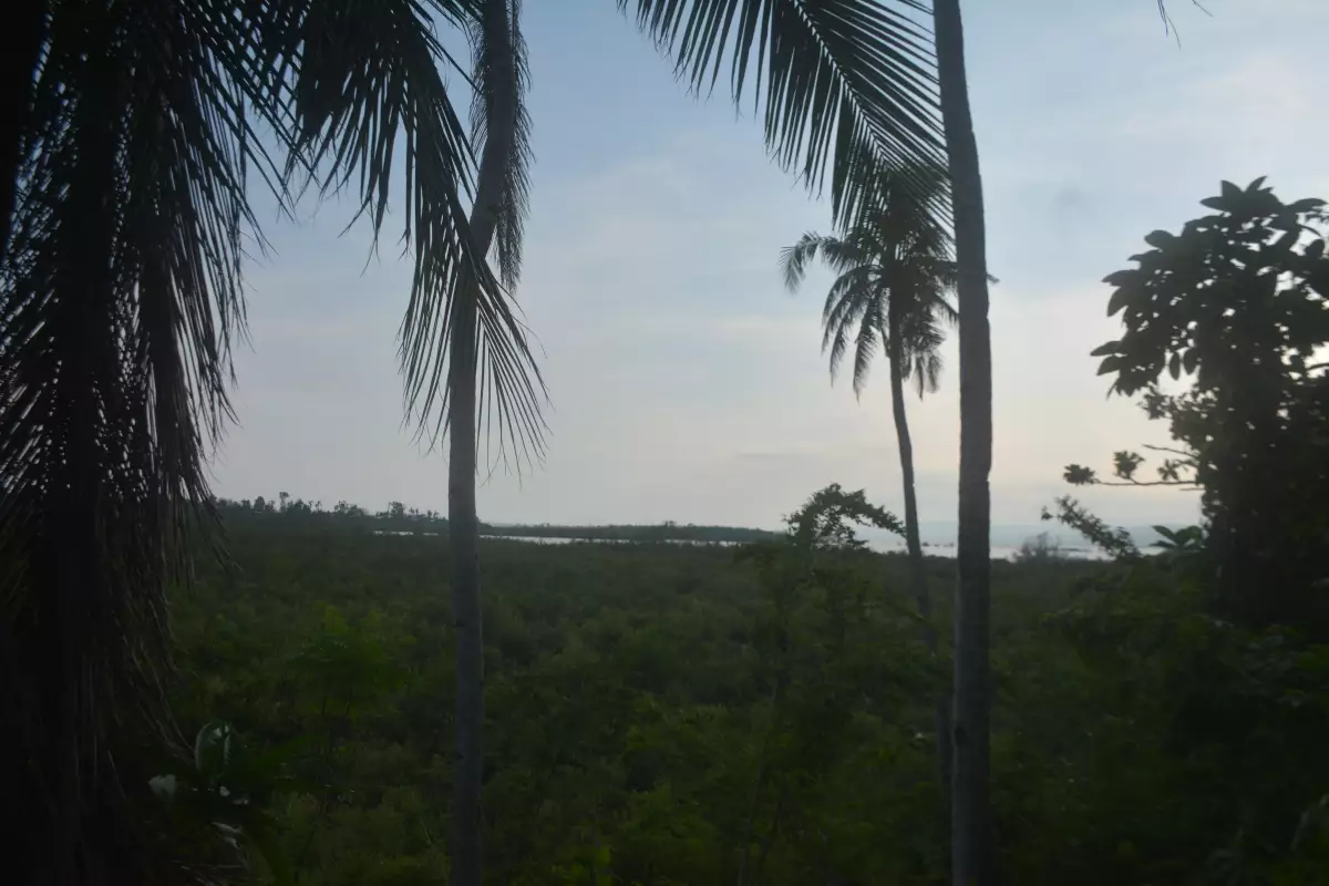 TITLED LOT FOR SALE IN CARCAR (LOT 1) - photo 2