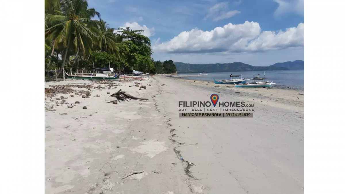 3000 sq.m Beach Lot for Sale with WHITE SAND || Glan, Sarangani — Beach Lot in Glan, Sarangani, Philippines — Photo 6