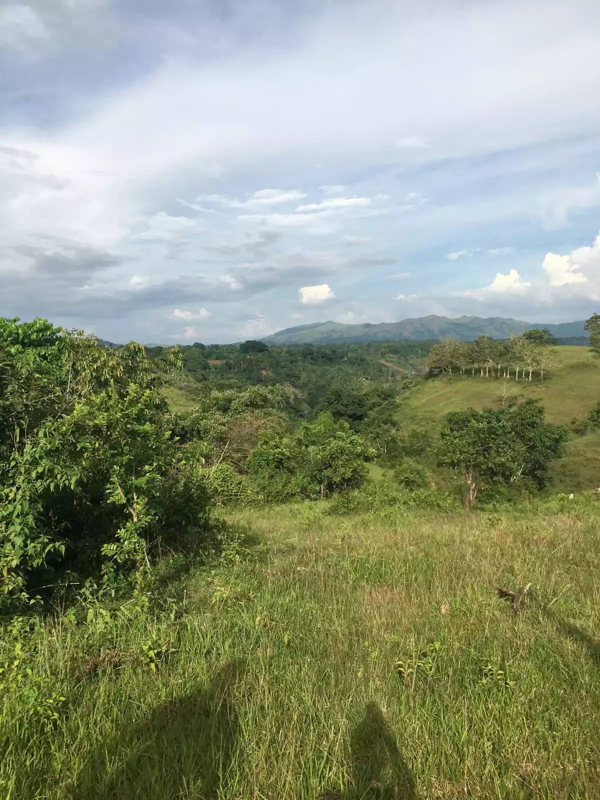 Pualas Near Hidden Valley Property — Agricultural Lot in Baungon, Bukidnon, Philippines — Photo 4