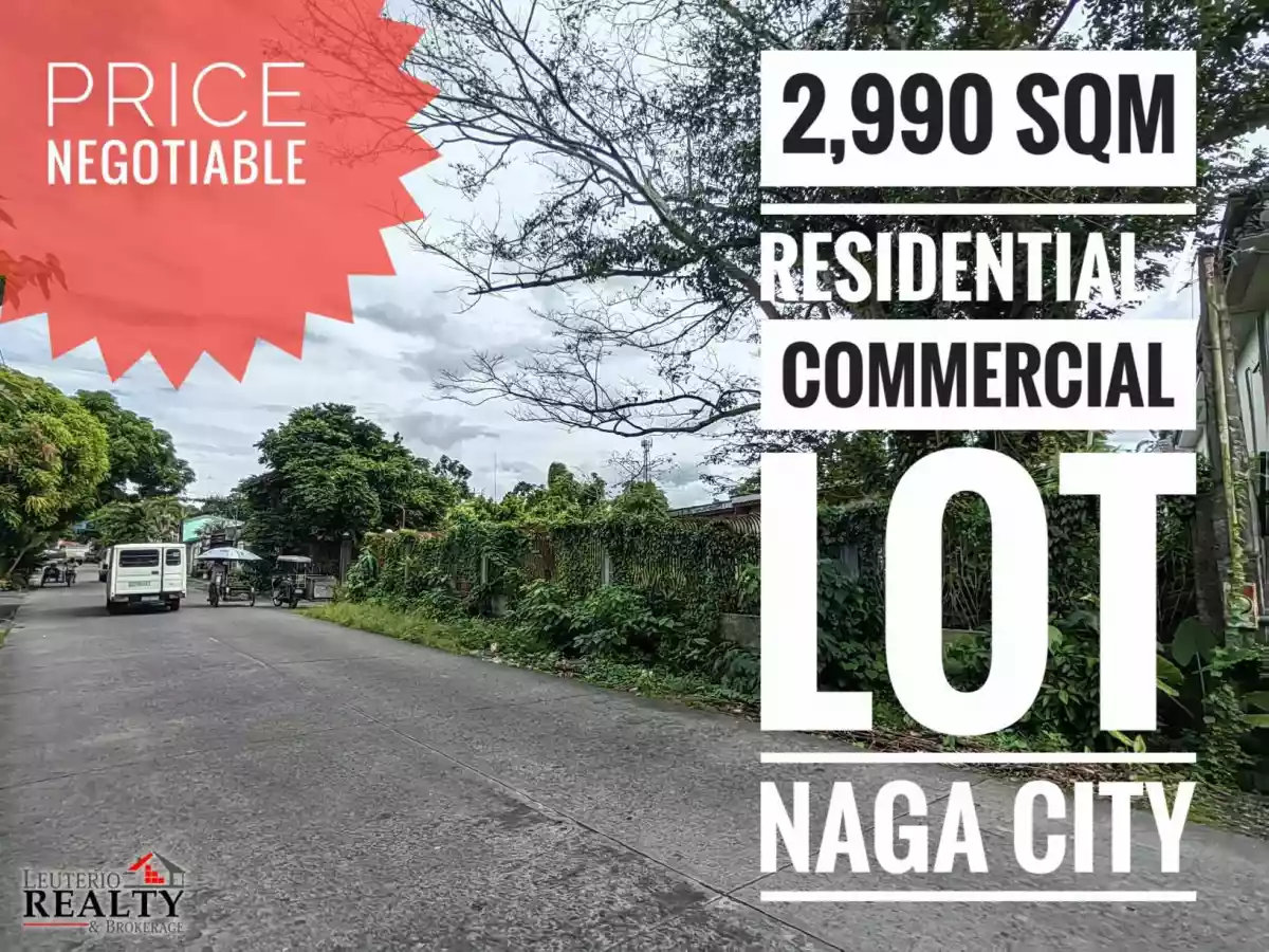 Residential/Commercial Lot for Sale at Bagumbayan Norte Naga City - photo 2