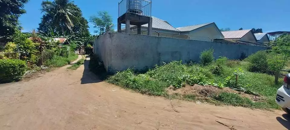 Lot for Sale - photo 4