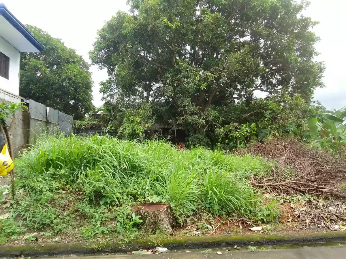 222SQM LOT FOR SALE GOLDCREST VILLAGE PHASE 3  - photo 3