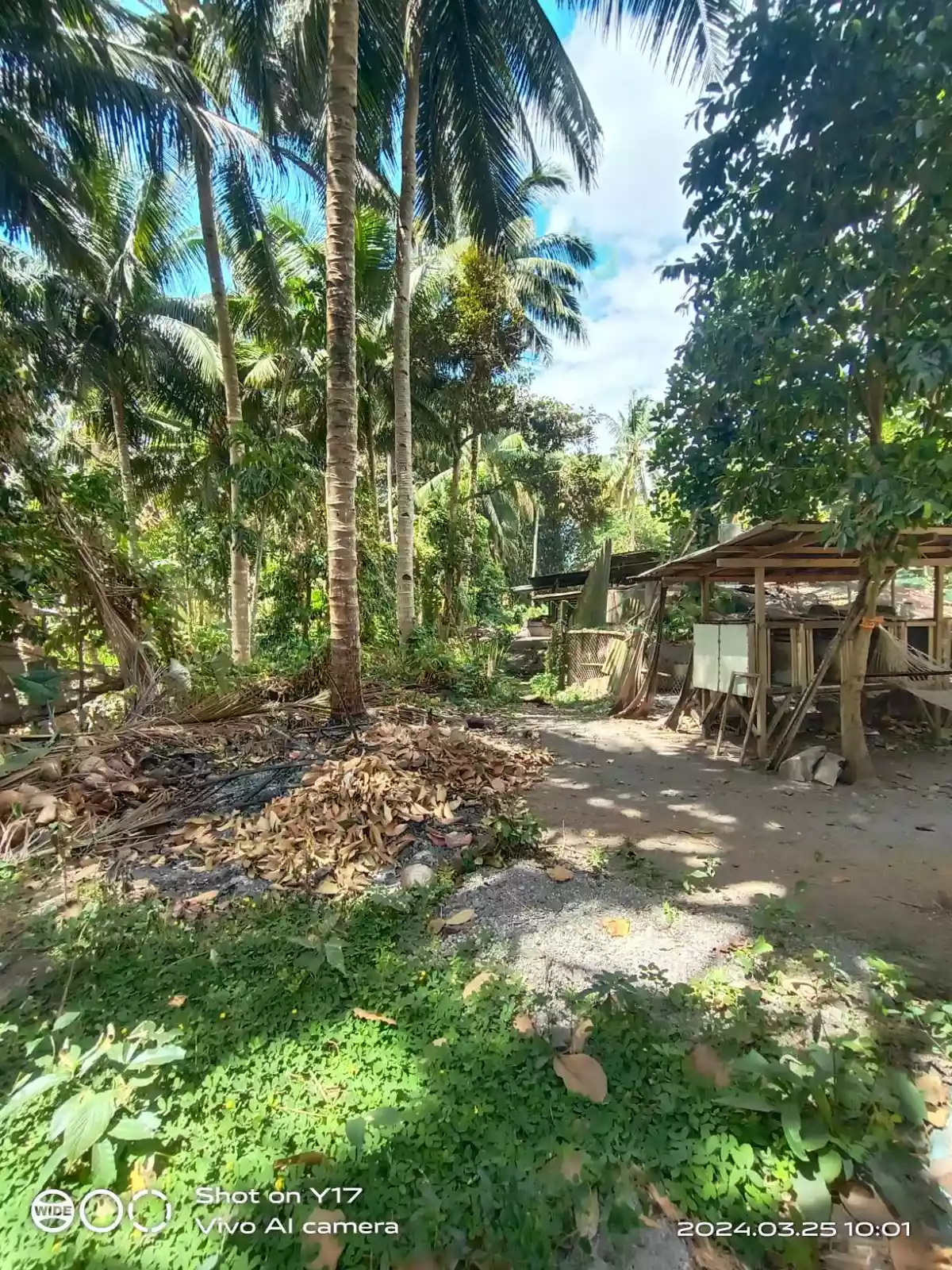 1 HECTARE FOR SALE IN POLOMOLOK — Agricultural Lot in Polomolok, South Cotabato, Philippines — Photo 6
