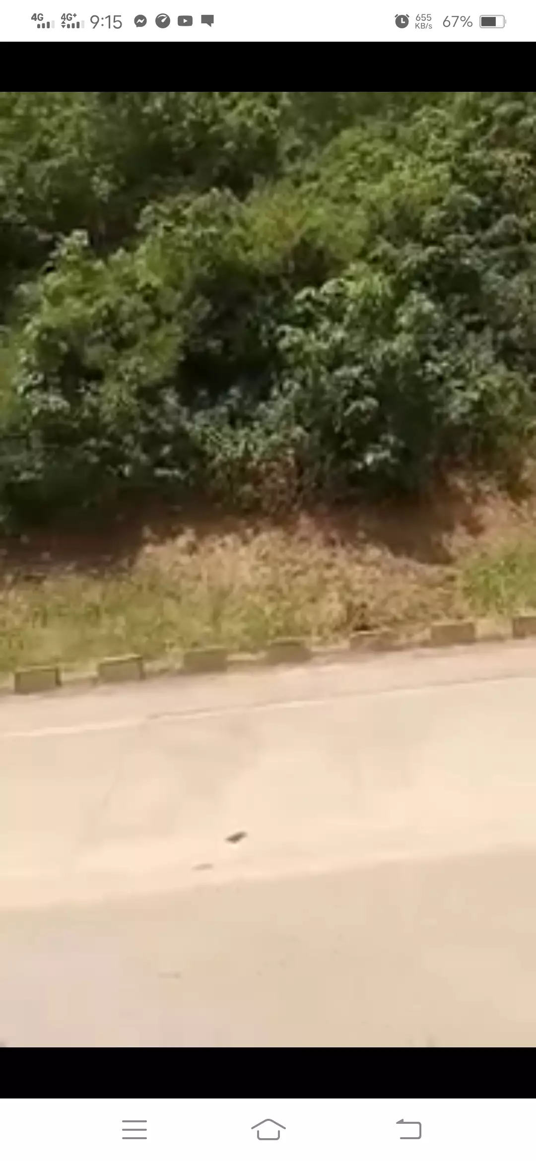 LOT FOR SALE IN EL NIDO, PALAWAN - photo 7