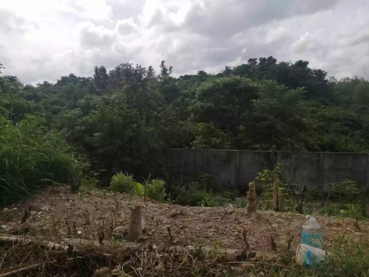 Lot only — Residential Lot in Cebu, Philippines — Photo 4