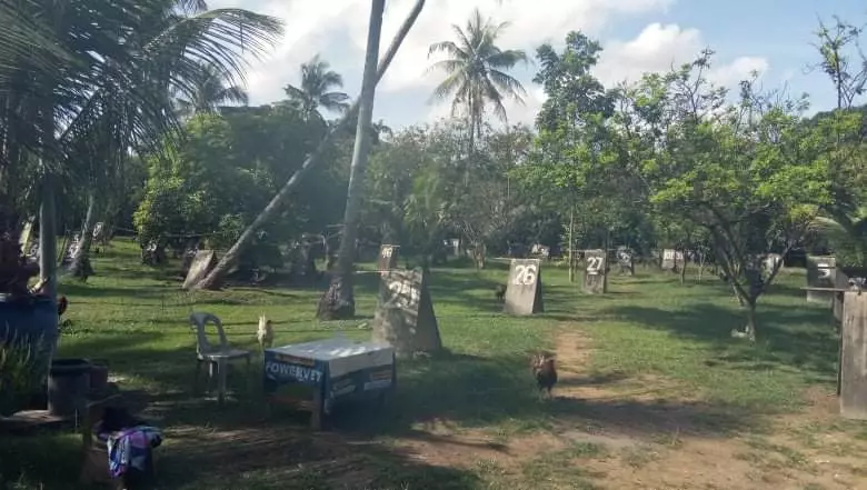 Lot for sale - photo 2