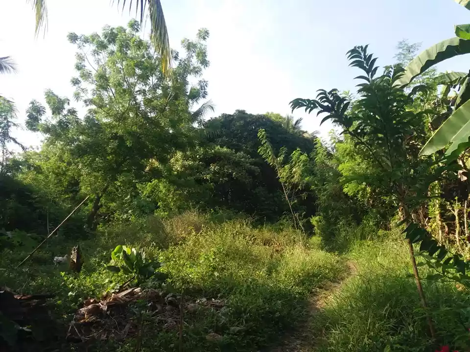 Samal Babak , Barangay Camudmud Property — Residential Lot in Babak, Island Garden City of Samal, Davao del Norte — Photo 6