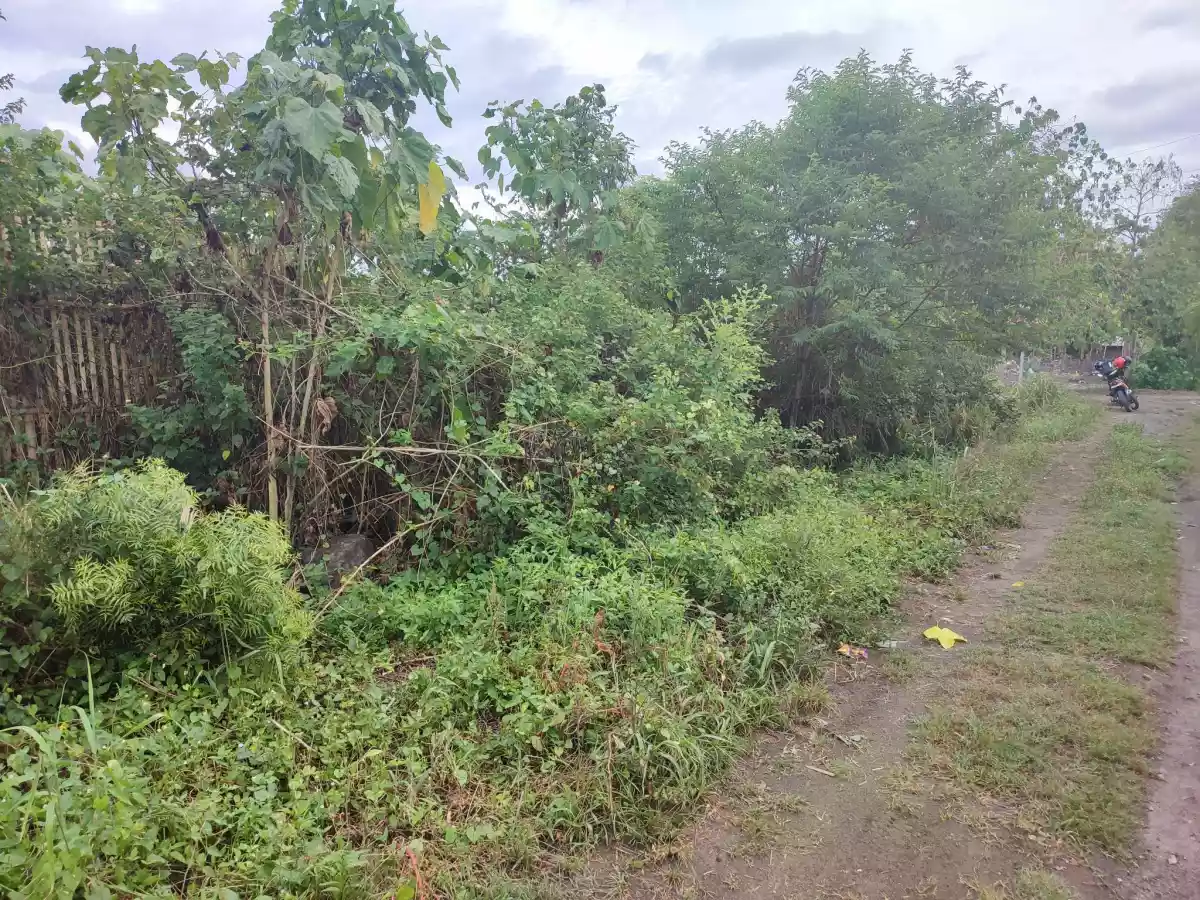 RESIDENTIAL LOT FOR SALE — Residential Lot in General Santos City, South Cotabato, Philippines — Photo 5