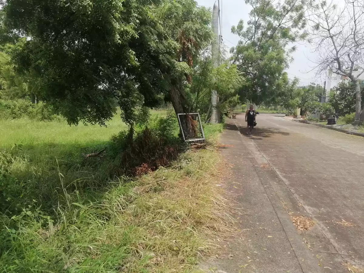Lot for Sale - photo 3