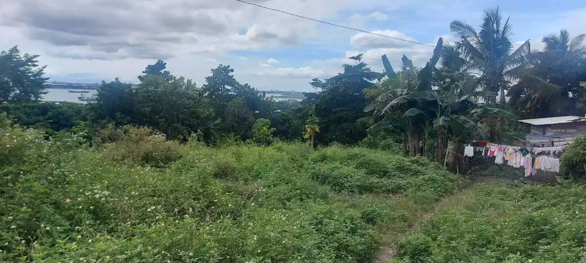 Lot for Sale-Overlooking Mactan channel - photo 4