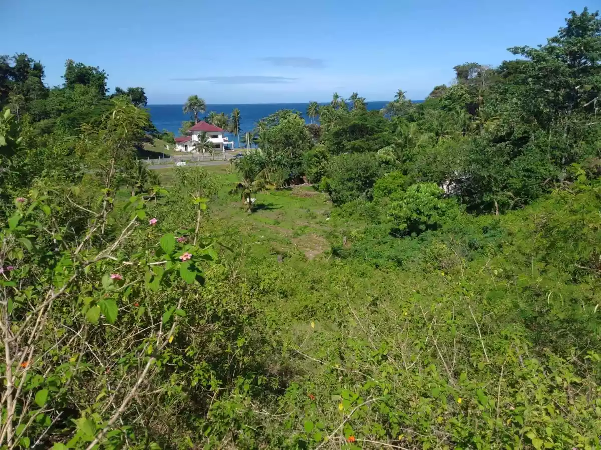 Original Certificate of Title  - photo 2