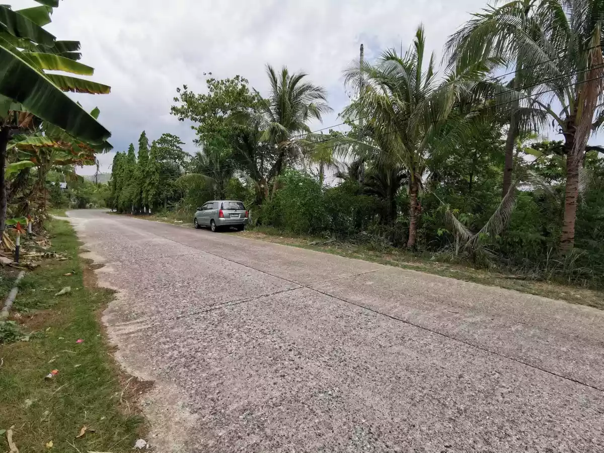 Beach Lot in Tabogon Cebu - photo 3