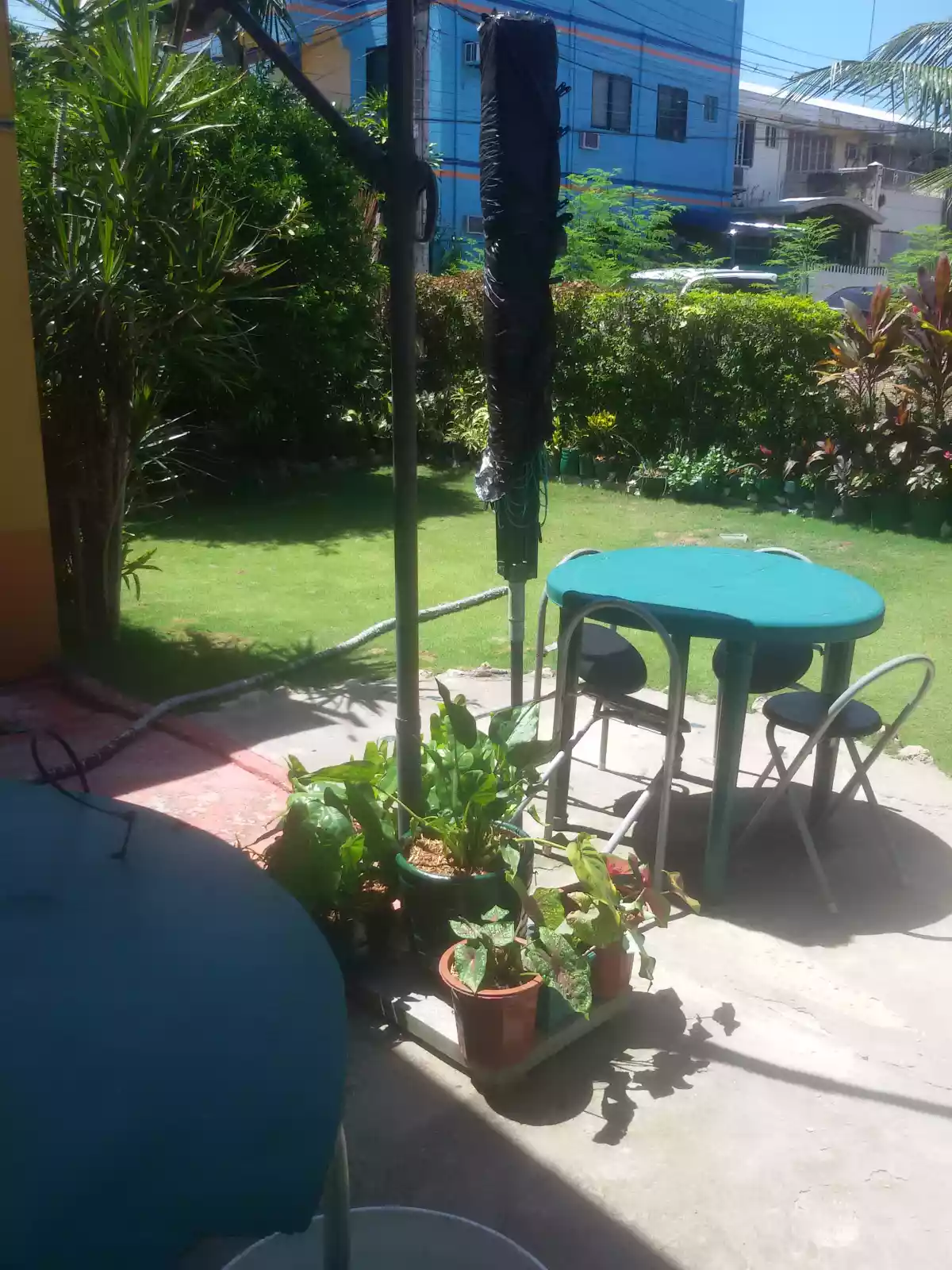 Davidproperty - photo 6