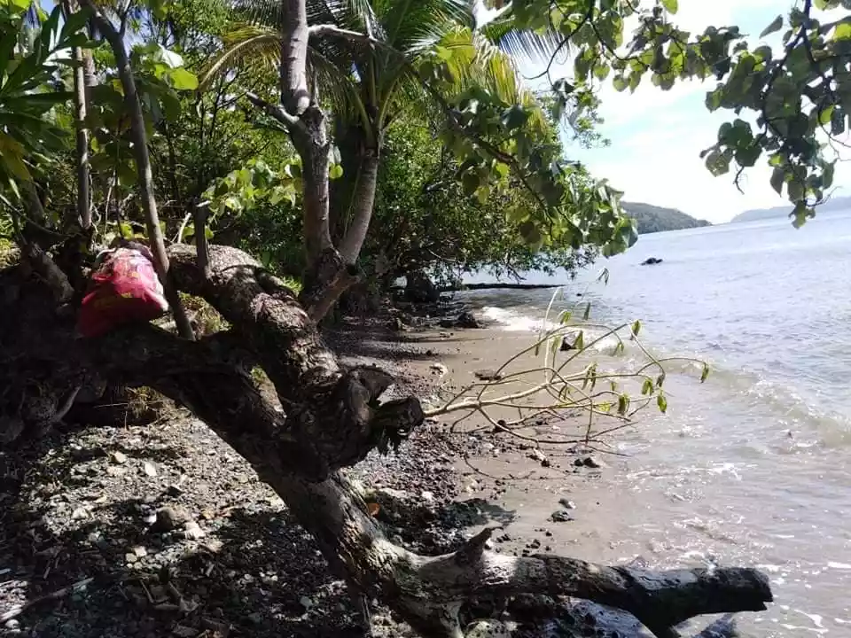 Beach Lot For Sale in Sta. Monica, Siargao Islands - photo 4