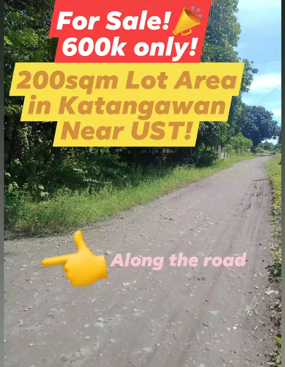 200sqm lot in katangawan near UST - photo 2