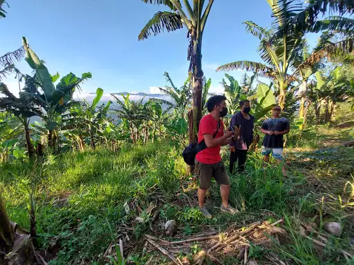 Claveria overlooking lot with scenic View Of Balatukan Range and the bay — Agricultural Lot in Claveria, Misamis Oriental, Philippines — Photo 7