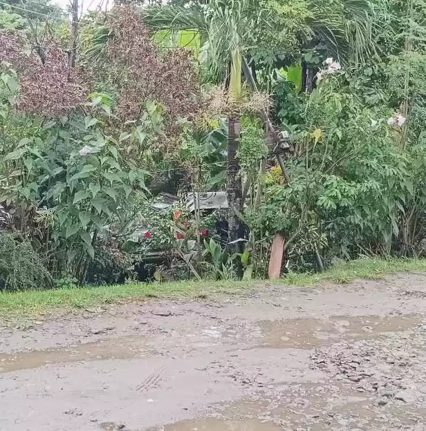 RUSH SALE TALAY LOT ONLY — Residential Lot in Dumaguete, Negros Oriental, Philippines — Photo 3