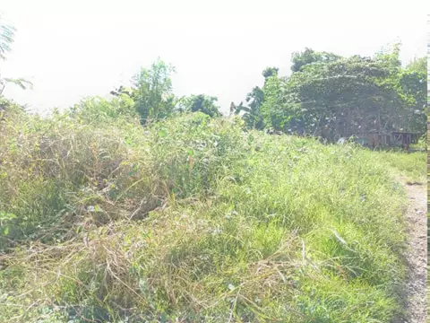 Rud Espino