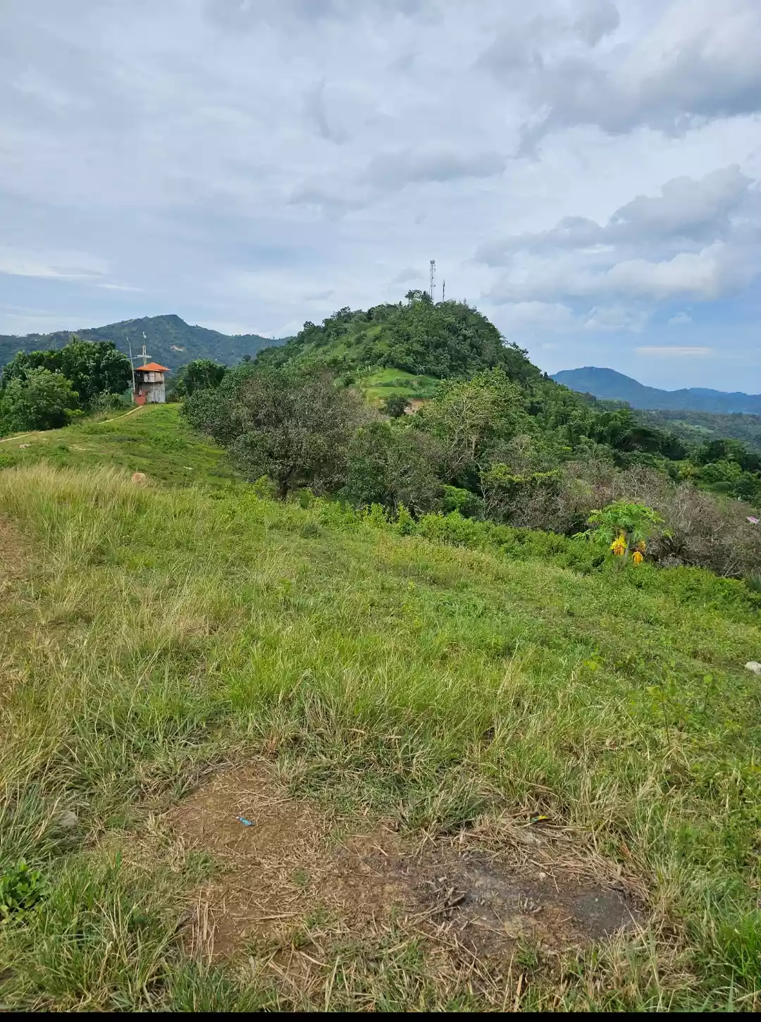 AGRICULTURAL LOT FOR SALE IN LUSARAN CEBU CITY 130,317 SQM.  - photo 5