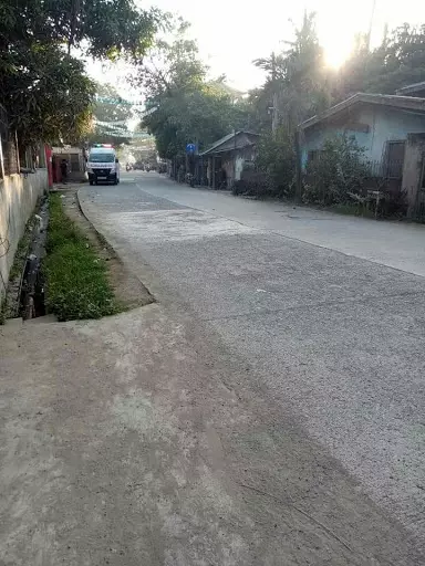Minglanilla Lot For Sale — Commercial Lot in Minglanilla, Cebu, Philippines — Photo 4