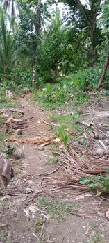 Lot for sale in Catmon — Residential Lot in Catmon, Cebu, Philippines — Photo 5