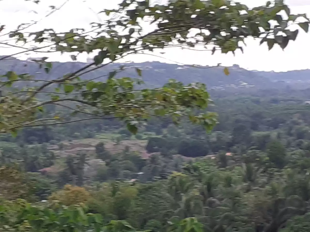 Residential Lot for sale @ indahag straight ultrawind 3,515sqm — Residential Lot in Cagayan de Oro, Misamis Oriental, Philippines — Photo 3