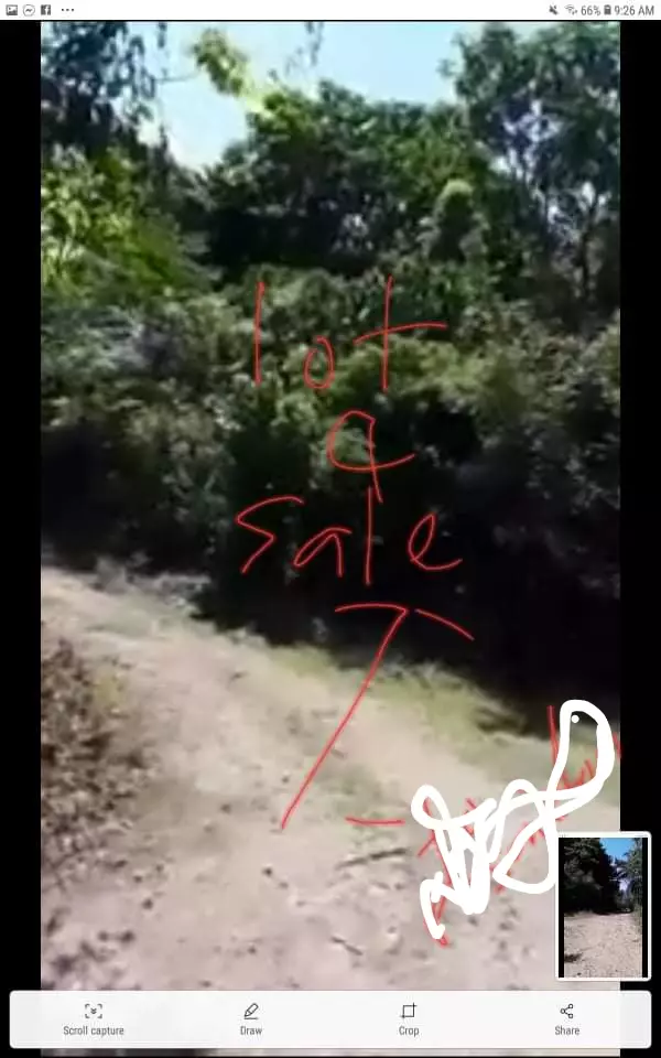 Lot for sale — Agricultural Lot in Anda, Bohol, Philippines — Photo 4