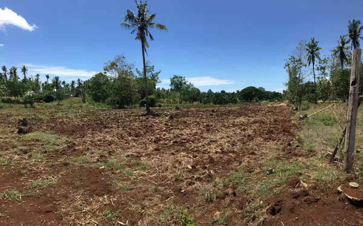 Cogon, Elsalvador — Residential Lot in Misamis Oriental, Philippines — Photo 5