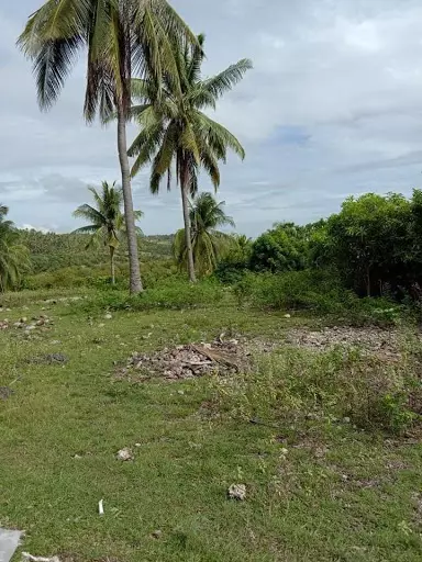 LOT for sale — Residential Lot in Boljoon, Cebu, Philippines — Photo 4