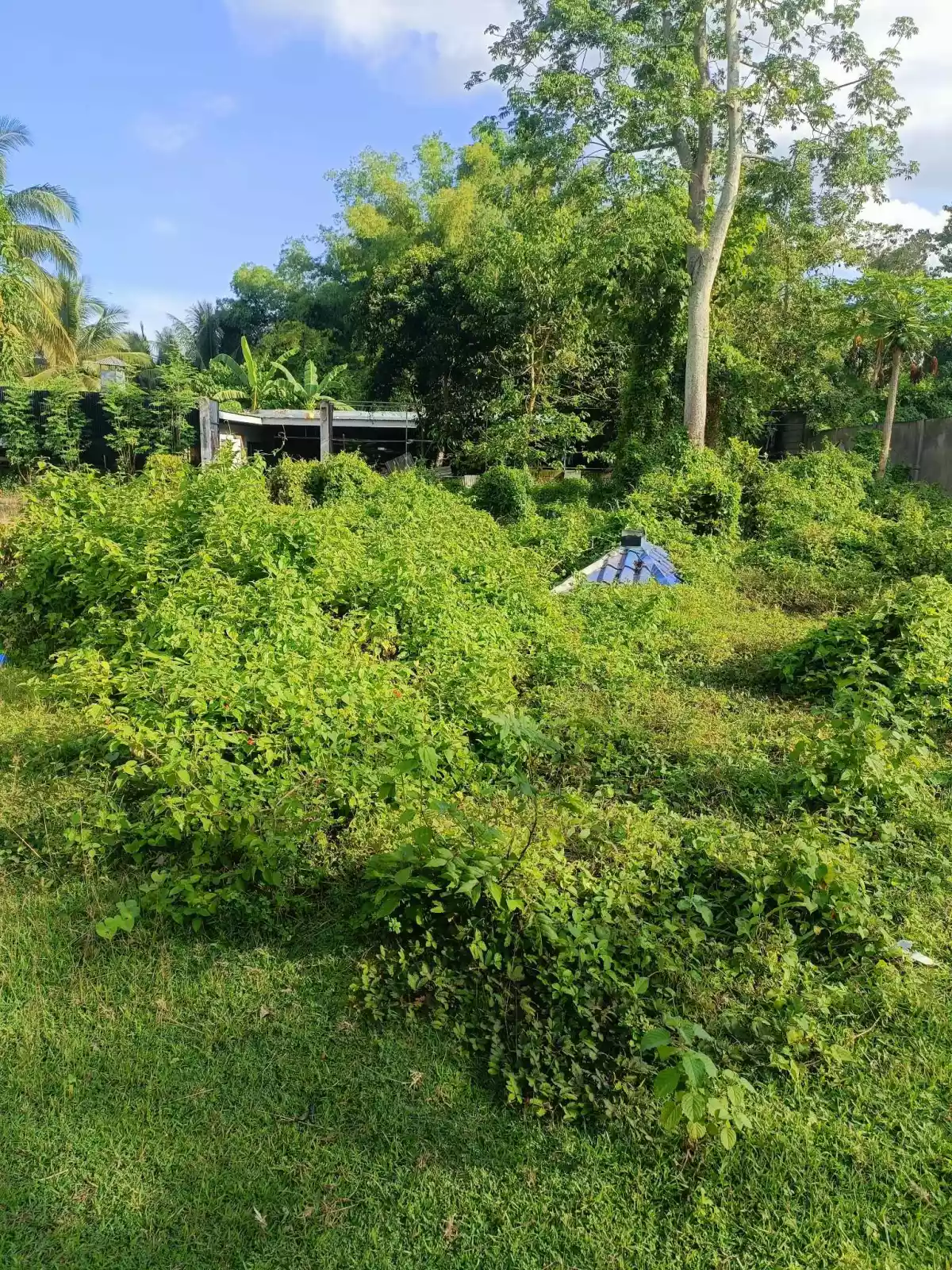LOT FOR SALE — Residential Lot in Negros Oriental, Philippines — Photo 4