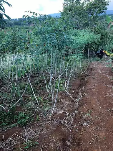 Lot for Sale