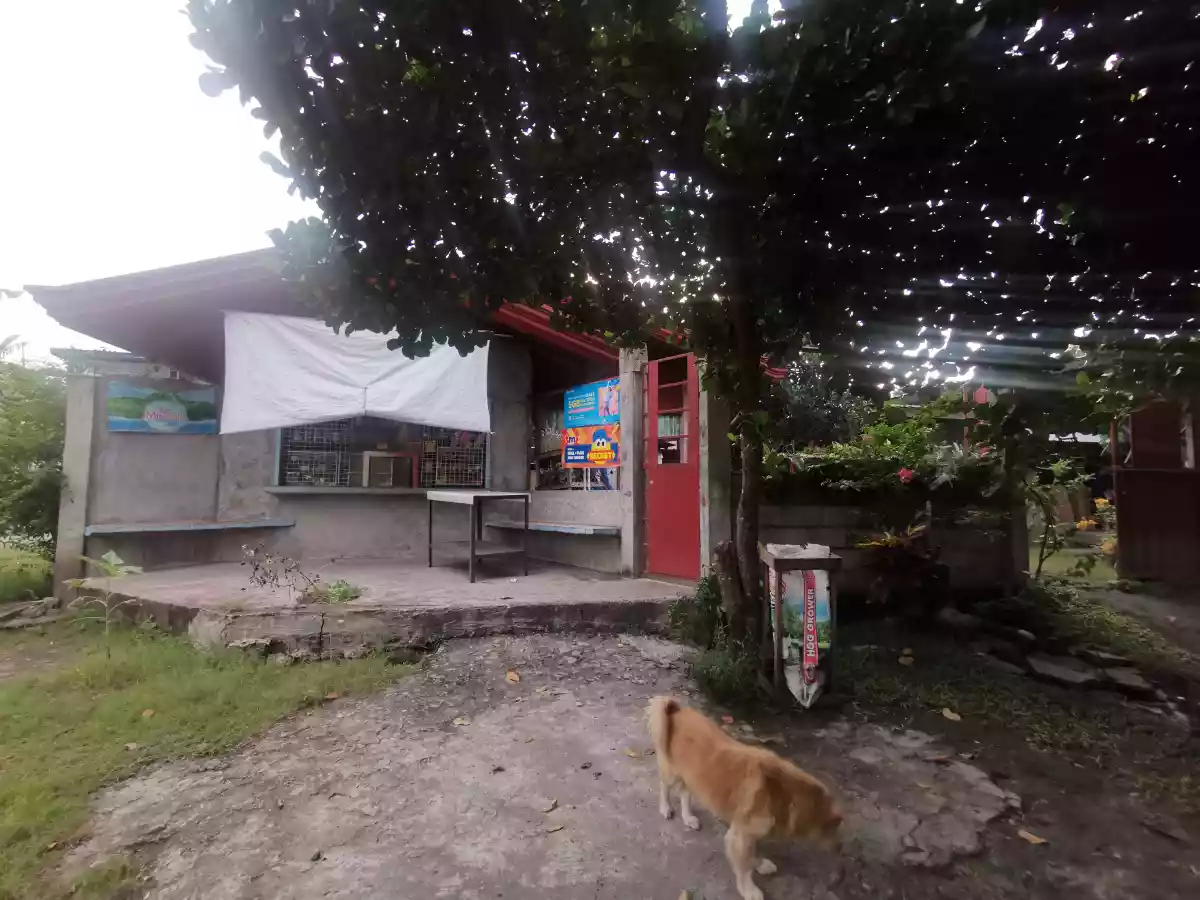 854sqm 2House and Lot Corner Lot Along Highway  - photo 4
