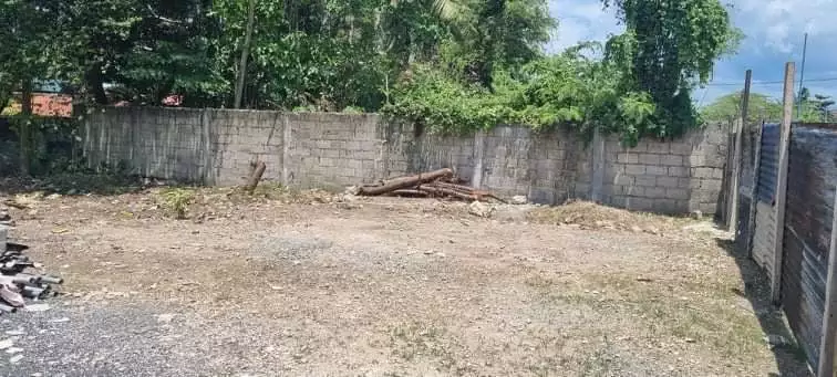 Lot For Rent Talisay City - photo 3